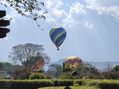-中国科学院西双版纳热带植物园