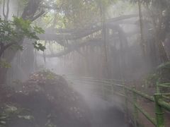 -青青世界