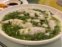 苔条小黄鱼-席家花园(巨鹿花园店)