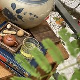 重庆旅游 | 北仓文创街区，鹦鹉陪我下午茶