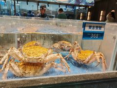 -青蓬蒸汽海鲜·深圳老字号·团建聚会(壹方城店)