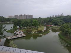 -东莞植物园