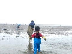 -刘家湾赶海园