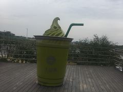 -雪绿茶博物馆