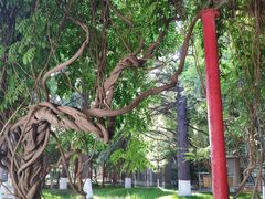 -陕西师范大学(雁塔校区)