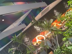 -大同江朝鲜菜•长春地标美食(绿园吾悦广场店)