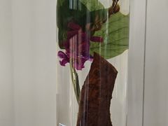 -广西壮族自治区药用植物园