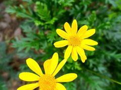 -北仑森林植物园