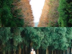 -山王坪喀斯特国家生态公园