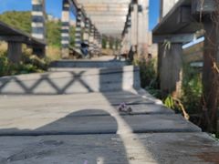 -白草畔自然风景区