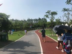 -上海长兴岛郊野公园