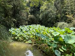 -成都杜甫草堂博物馆