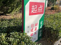 -大兴滨河森林公园