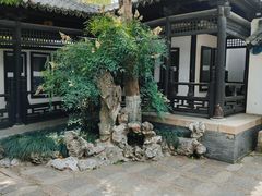 -常熟方塔园