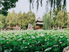 -莲池书院博物馆