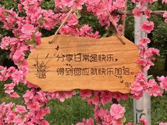 -北京凤凰岭
