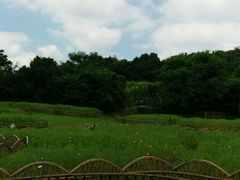 -白马涧龙池景区
