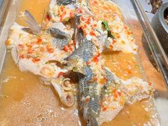 -佬肥猫(国华广场店)