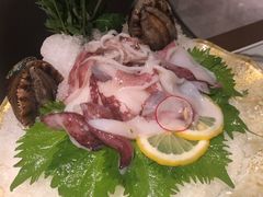 鲜海兔-虾佬圣汤·海鲜姿造(乐堤港店)