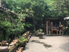 -青城甲(青城山店)