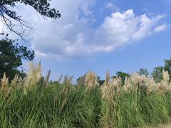 -良渚古城遗址公园