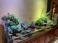 -杭州香格里拉·香宫中餐厅