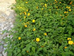 -白塘生态植物园