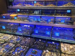 -青蓬蒸汽海鲜·深圳老字号·团建聚会(壹方城店)