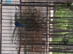 蓝地时尚庄园-蓝地时尚庄园(北京清河营地铁站店)