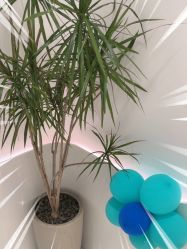 -LJOY丽锦造型·烫发染发