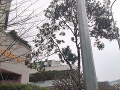 -福田农产品批发市场有限公司蔬菜交易区