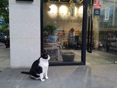 门面-囿面传统制面馆(中央路店)
