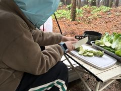 -重庆睡佛山森林公园