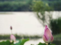 -沙家浜风景区