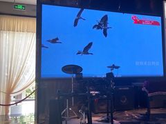 -Mezomd曼索蒂西班牙餐厅(广粤店)