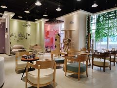 -藏猫猫咖啡主题馆(中央大道店)