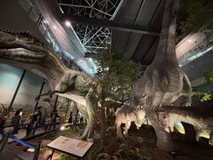 -湖南省地质博物馆