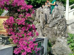 -惠州西湖丰渚园