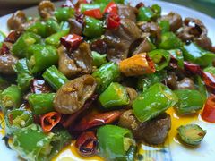 尖椒肥肠-蜀膳坊(洪公祠小区店)