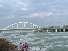-五缘湾湿地公园