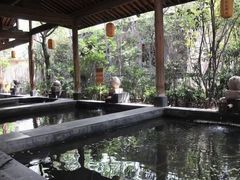 -西安国际创新人才交流中心•药浴温泉