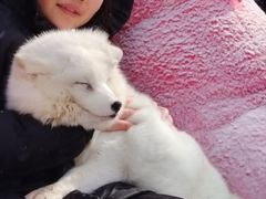 -哈尔滨波塞冬海底世界