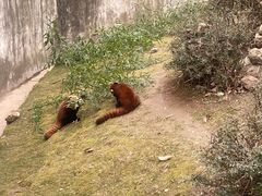 -西安秦岭野生动物园