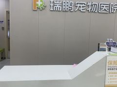 -瑞鹏宠物医院·骨外科·心肾科·肿瘤科(九亭店)