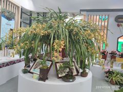 -南宁国际会展中心(会展东博文化旅游区)