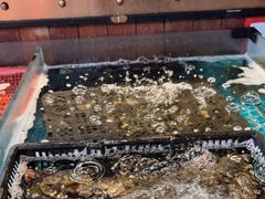 -亚马逊环球美食百汇(新城吾悦广场店)