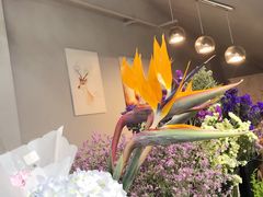 天堂鸟-ChaKo Flora ·茶子花艺 (市北店)