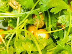 -No.DD戳子烧烤·江湖菜(北京总店)