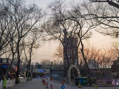 -枫花园汽车电影院(朝阳公园店)