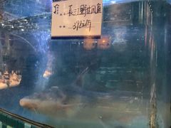 -春盛渔府(牛首山店)